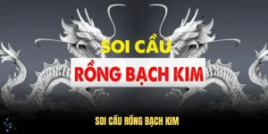 Soi Cầu Rồng Bạch Kim Và Những Thông Tin Thú Vị Cho Người Chơi